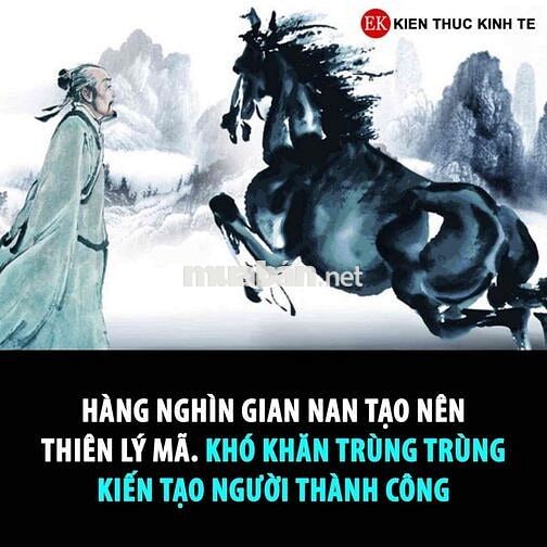 cho thuê mặt bằng mặt tiền Nguyễn Hữu Thọ 8x25