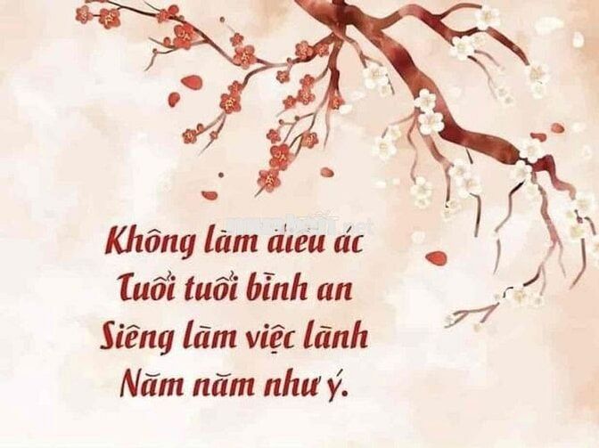 cho thuê mặt bằng mặt tiền Nguyễn Hữu Thọ 8x25