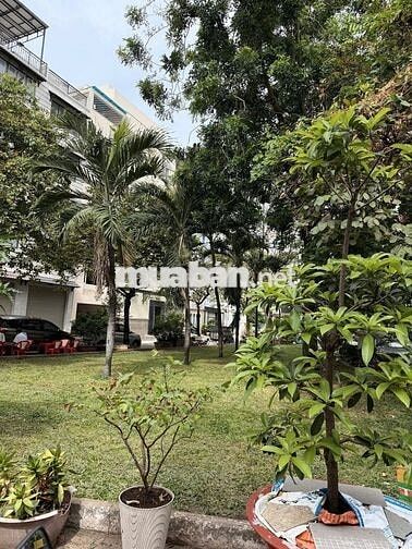 🏡 NHÀ ĐẸP 2 MẶT TIỀN ĐƯỜNG CHỢ LỚN ĐỐI DIỆN CÔNG VIÊN CHỈ 7.8 TỶ 🌳