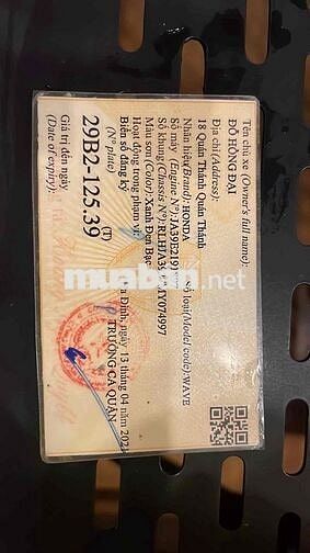 Honda Wave Alpha 2021 Xanh Xe số