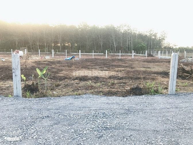 Cầu bán hoặc cho thuê đất (trồng rau màu - cây ngắn ngày)