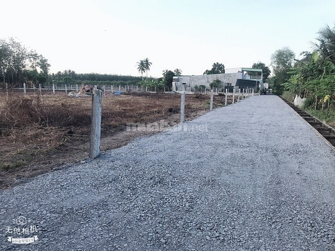 Cầu bán hoặc cho thuê đất (trồng rau màu - cây ngắn ngày)