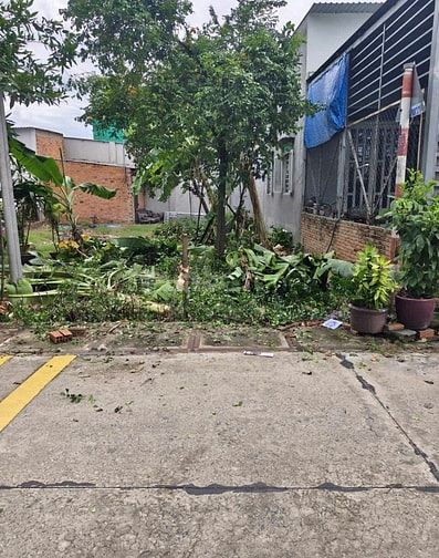 ĐẤT ĐẸP TÂN PHÚ TRUNG, CỦ CHI – CÁCH QUỐC LỘ 22 CHỈ 300M – SỔ HỒNG RIÊ