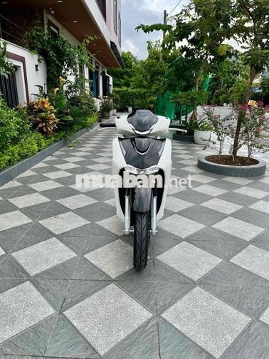 Honda SH125 ABS 2026 Trắng đen
