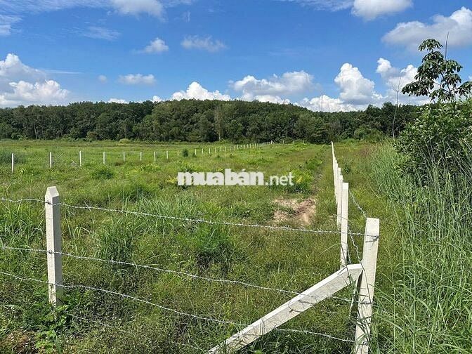 Đất sào HCM - 1230m2, cách đường huyện lộ 32m vào chỉ 700m, ngang 12m
