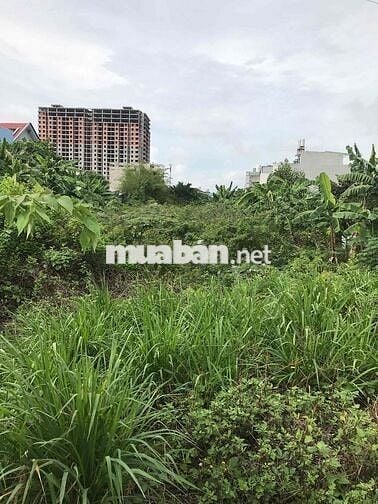 cần tiền bán gấp sổ đỏ 1429 m2 đất hẻm xe tải