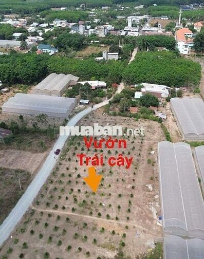 Đất Ngay Chợ, Ủy Ban, Sổ Sẵn, Công chứng, hỗ trợ vay ngân hàng