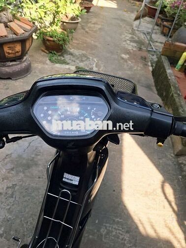 Honda Wave Alpha 2002 Xanh Nguyên bản