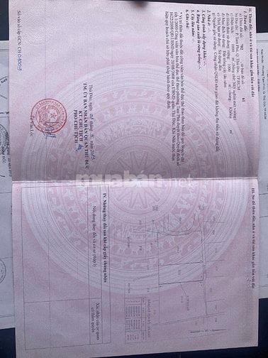 Bán 1.000m2 đất cây lâu năm hẻm xe tải tránh nhau, giá cực tốt
