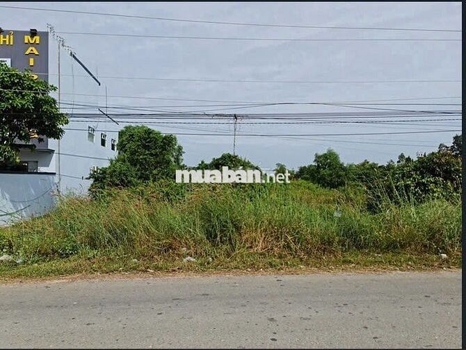 BÁN ĐẤT THỔ CƯ MẶT TIỀN TỈNH LỘ 786 CÁCH CỬA KHẨU TÂY NINH 1KM