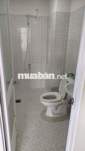 Cần cho thuê căn hộ chung cư Mizuki Park 