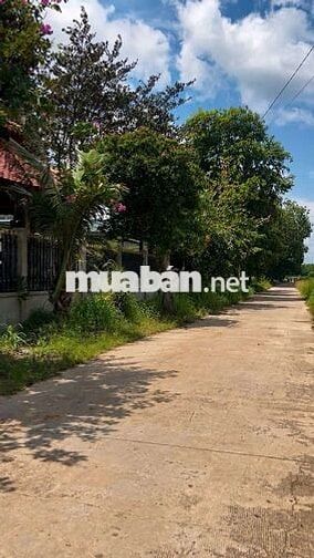 Bán đất 280m2, tc 60m2, giáp kcn Minh Hưng 3 mở rộng 484ha.