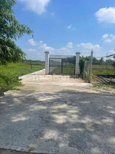 SỞ HỮU NGAY 655m² ĐẤT CỦ CHI – QUY HOẠCH THỔ CƯ 100% – CHỈ 1,35 TỶ!