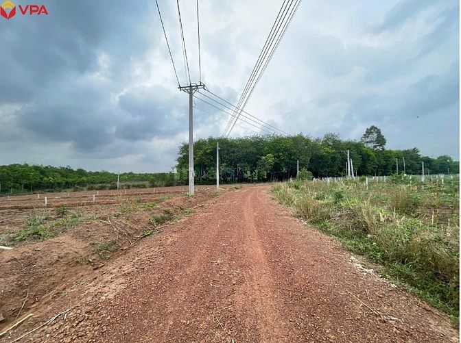 Thông báo ĐGTS đang được thế chấp tại Ngân hàng TMCP Quốc tế Việt Nam