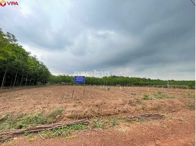 Thông báo ĐGTS đang được thế chấp tại Ngân hàng TMCP Quốc tế Việt Nam