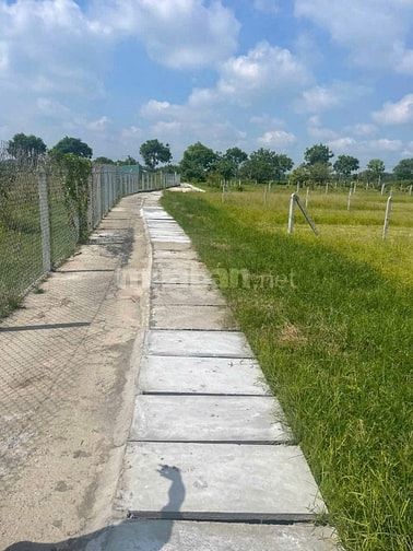 SỞ HỮU NGAY 655m² ĐẤT CỦ CHI – QUY HOẠCH THỔ CƯ 100% – CHỈ 1,35 TỶ!