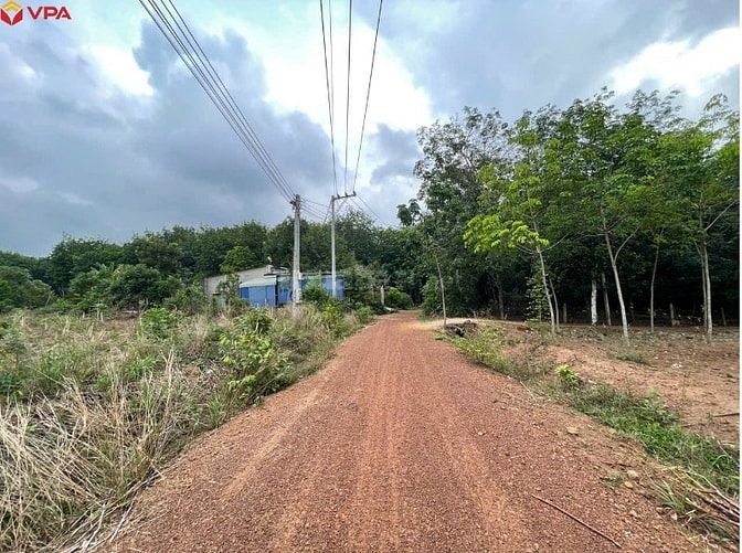 Thông báo ĐGTS đang được thế chấp tại Ngân hàng TMCP Quốc tế Việt Nam