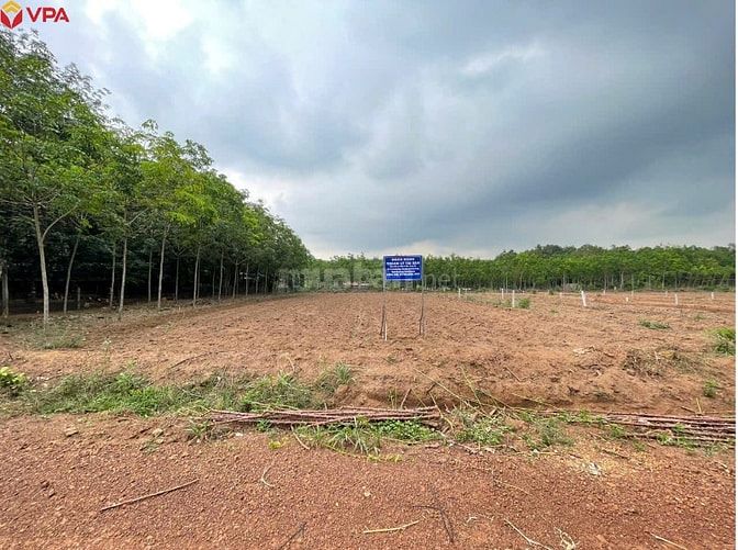 Thông báo ĐGTS đang được thế chấp tại Ngân hàng TMCP Quốc tế Việt Nam