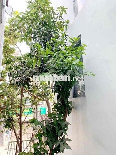 Phòng đẹp 25m2 gác cao, thoáng mát Nguyễn Văn Công