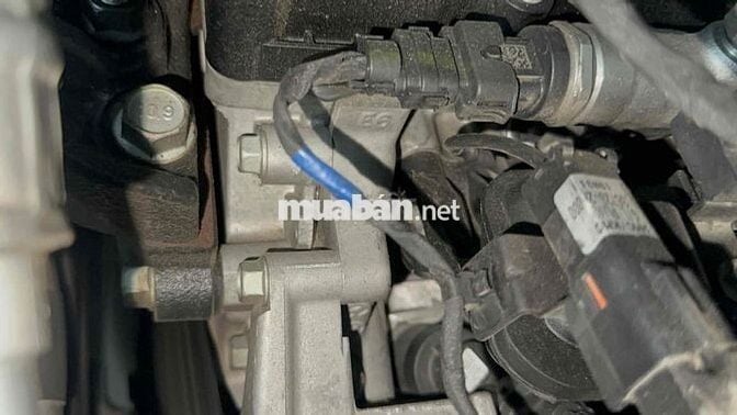Sedona Platinum D 2.2 bản Pladinum D 2019