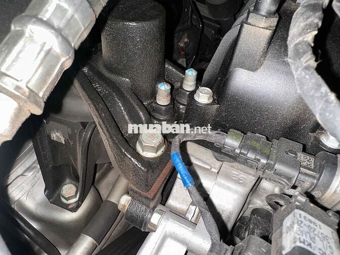 Sedona Platinum D 2.2 bản Pladinum D 2019