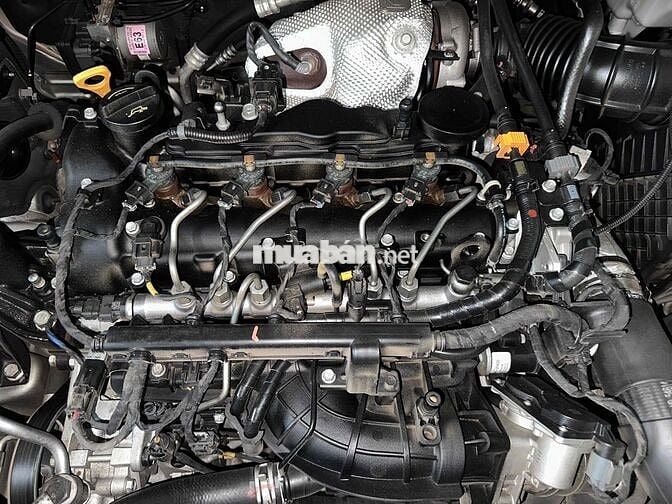 Sedona Platinum D 2.2 bản Pladinum D 2019
