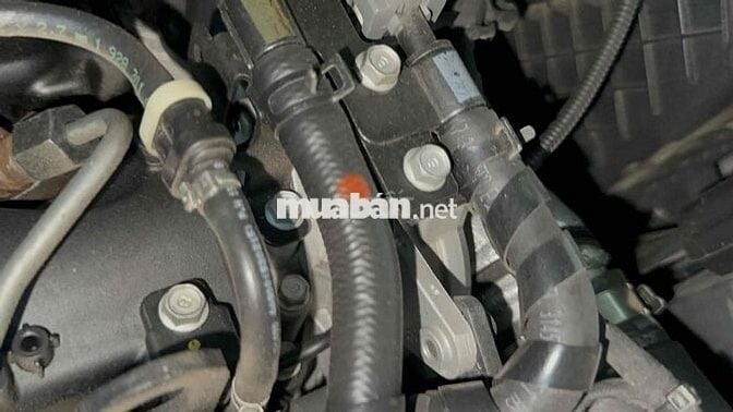 Sedona Platinum D 2.2 bản Pladinum D 2019