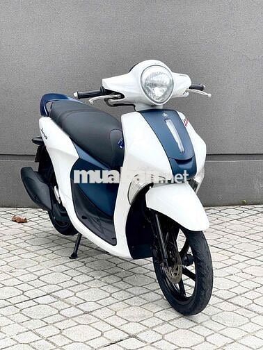 Yamaha Janus 2019 Trắng xanh Đã sử dụng