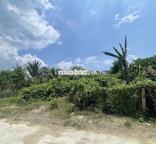 Bán đất giáp suối 576m2 full thổ cư, TL 8B, Thôn Suối Cá, Khánh Trung