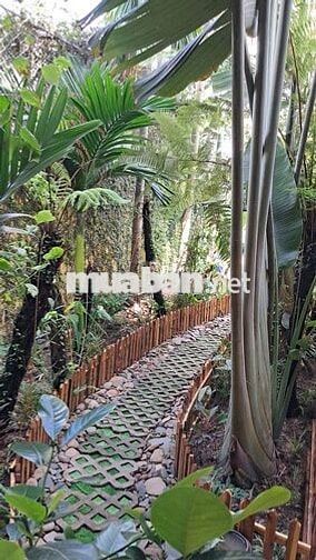 KÝ TÚC XÁ NHƯ HOMESTAY - TÔ KÝ HÓC MÔN - NGAY ĐH LĐXH, ĐH HUFLIT 