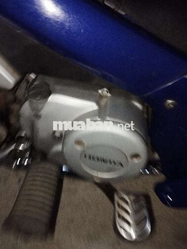 Honda Future Xanh Kim loại
