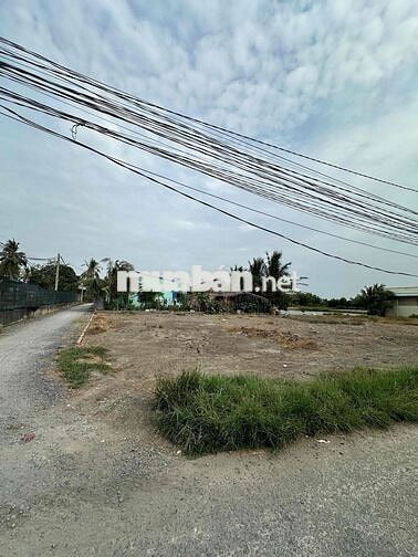 [GẤP] ĐẤT ĐẸP GIÁ TỐT- SHR CẦN ĐƯỚC - LONG AN