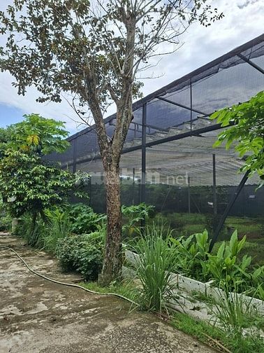 Bán đất rộng hơn 1000m2 tại Điện Hòa, Điện Bàn