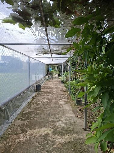 Bán đất rộng hơn 1000m2 tại Điện Hòa, Điện Bàn