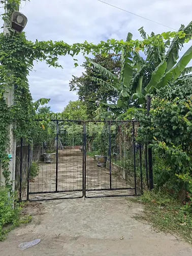 Bán đất rộng hơn 1000m2 tại Điện Hòa, Điện Bàn