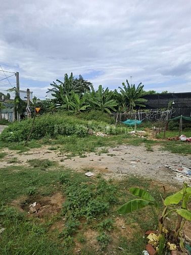 Bán đất rộng hơn 1000m2 tại Điện Hòa, Điện Bàn