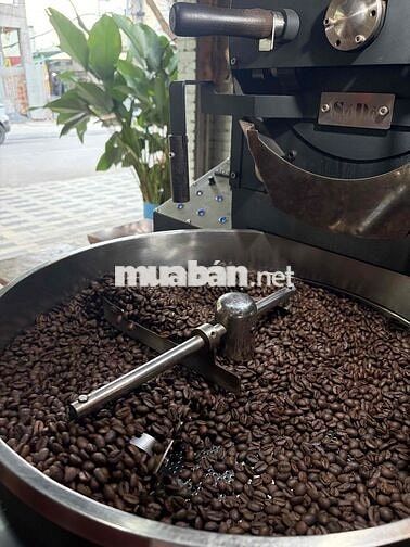 Tuyển Barista cho xưởng rang cà phê