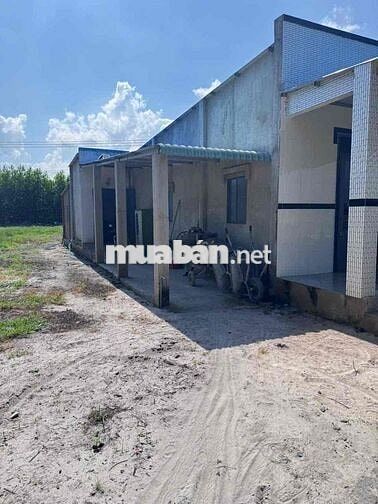 Chính chủ bán đất 1.040m² có nhà cấp 4 mới xây – Giá 900 Triệu