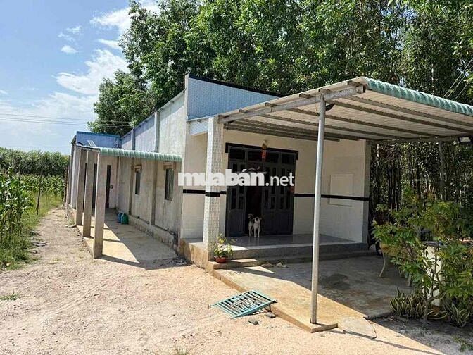 Chính chủ bán đất 1.040m² có nhà cấp 4 mới xây – Giá 900 Triệu