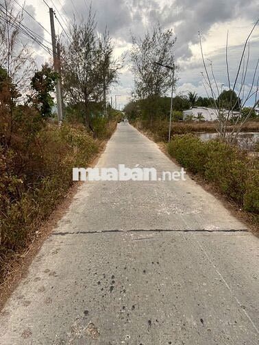 Bán đất Ấp Thạnh 1, Long Điền, Đông Hải, Bạc Liêu, 1,6 tỷ, 2964,9m2