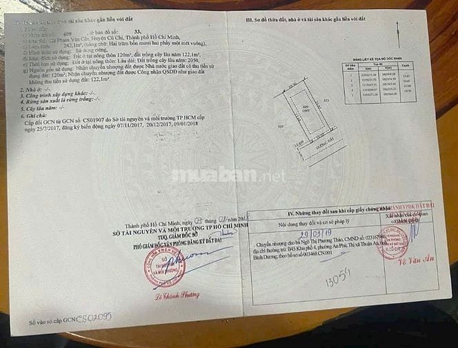 GIÁ NGỘP – CƠ HỘI CHỐT NHANH TRONG TUẦN