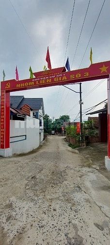 Cà na bán đất  xã Thọ Văn Tam Nông  Phú tho