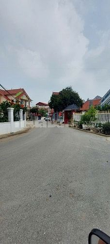 Cà na bán đất  xã Thọ Văn Tam Nông  Phú tho