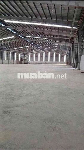KHO XƯỞNG GIÁ RẺ- QL50 ( 2.000m2 )