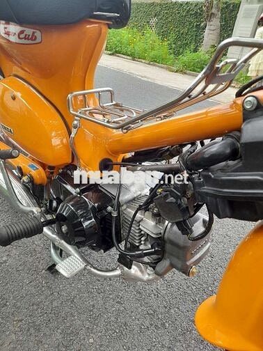 Honda Super Cub 50cc Cam Nhật