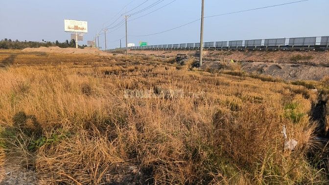 Cần bán gấp đất ruộng giá ngợp 