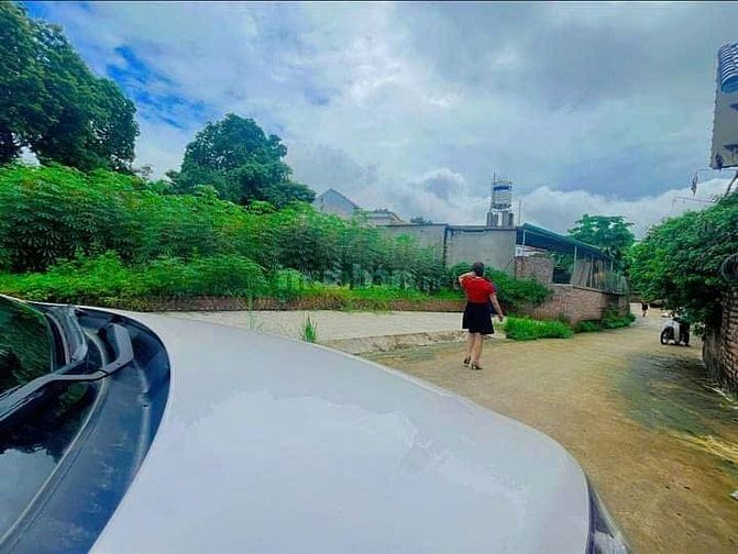 Cà na bán đất  xã Thọ Văn Tam Nông  Phú tho