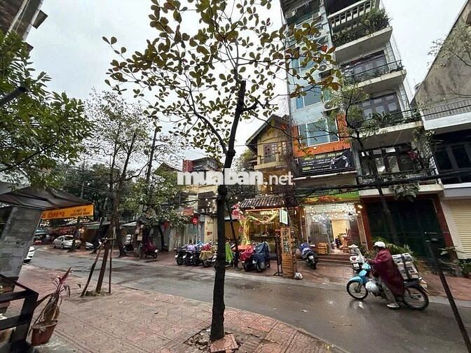 Cho thuê sàn VP KD Online 14 Huỳnh Thúc Kháng 50 m2 giá 9 triệu