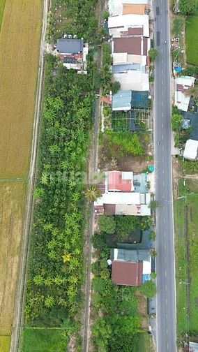 ĐẤT RỘNG MẶT TIỀN ĐƯỜNG CẦU Ô GIÁ TẠI CỦ CHI