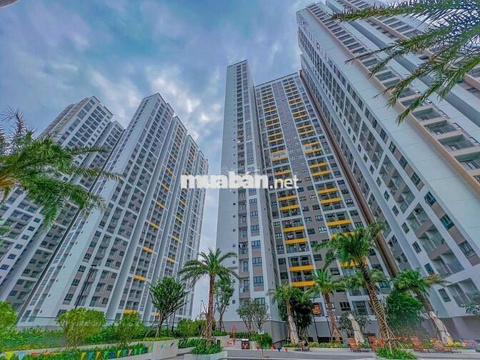 Cho thuê căn hộ 1-2-3PN Q7 Saigon Riverside Số 4 Đào Trí nhà mới